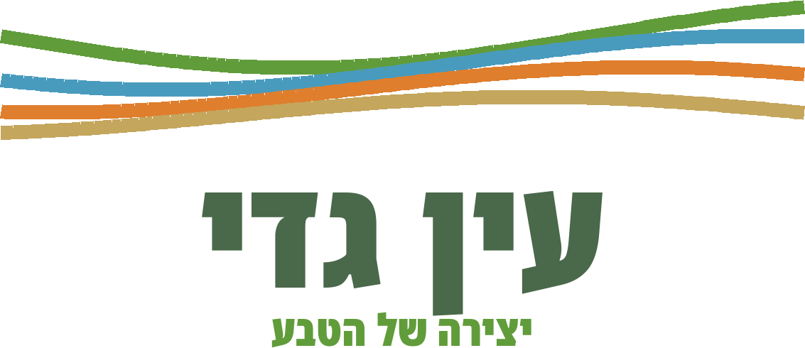גמלאים בעין גדי